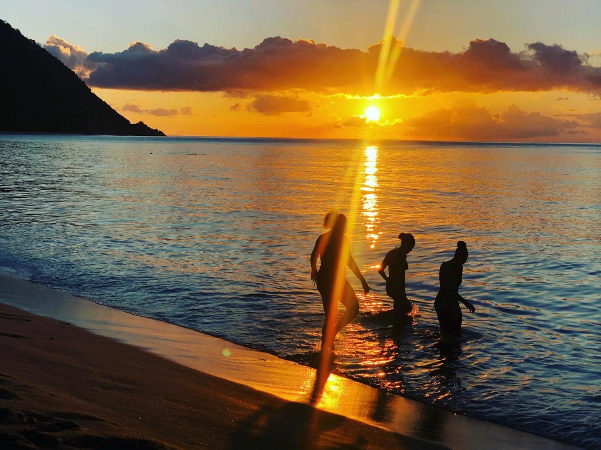 Vue Mer/3Beds/Piscine/Wifi/900 Metres De La Plage Deshaies Eksteriør bilde