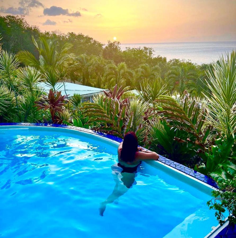 Vue Mer/3Beds/Piscine/Wifi/900 Metres De La Plage Deshaies Eksteriør bilde