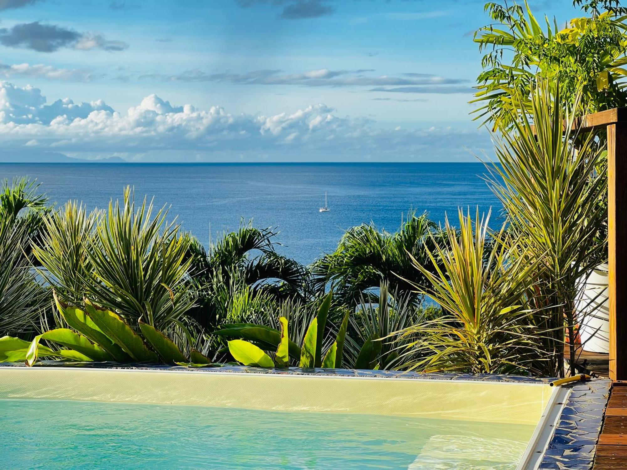 Vue Mer/3Beds/Piscine/Wifi/900 Metres De La Plage Deshaies Eksteriør bilde